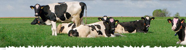 MPS - Milk Producten Support